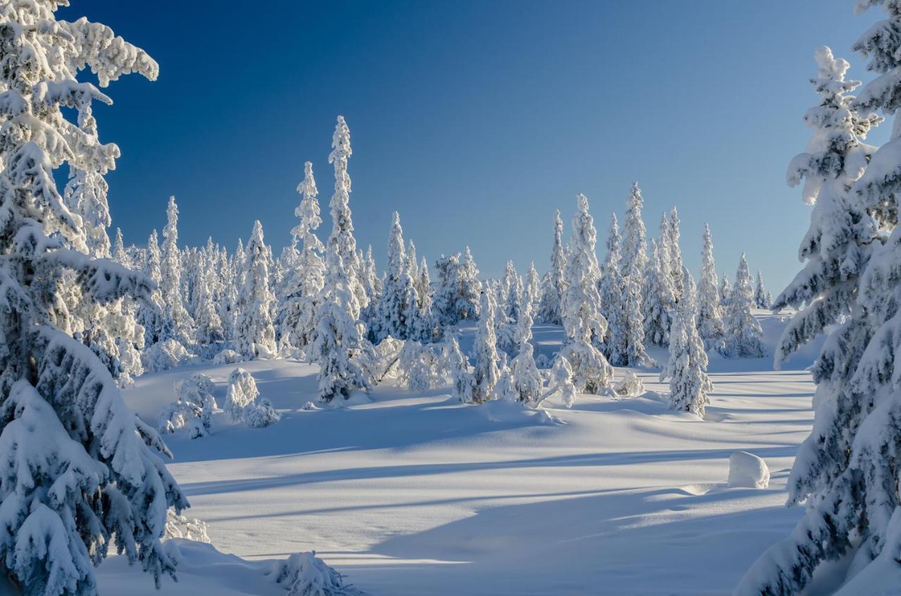 Blefjell Lodge 램프랜드 외부 사진
